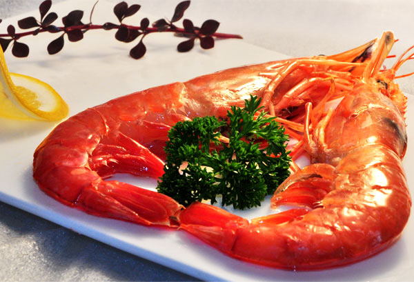 “限塑”：多開發新型環保材料才是王道