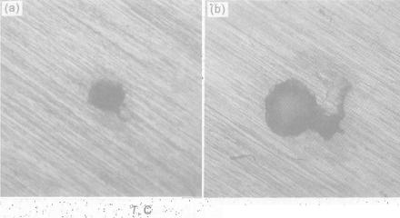 1513738279159309.jpg 電化學(xué).jpg