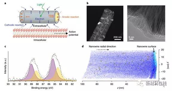 1519696458875183.jpg 5.jpg
