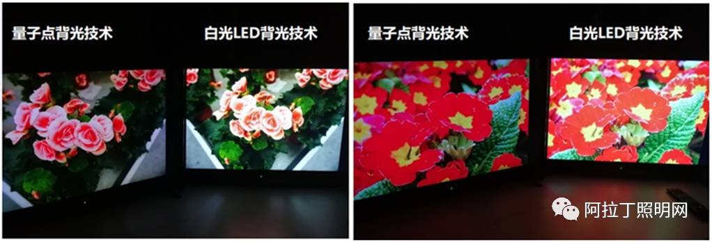 1529976951763938.jpg 13.jpg