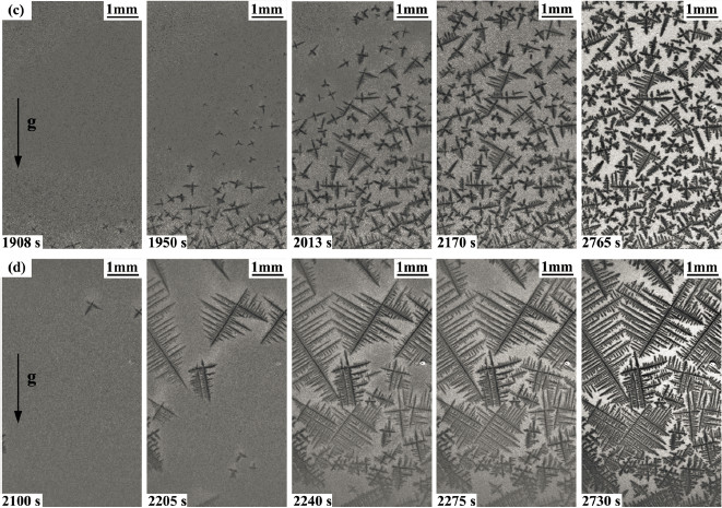 1536801157158702.jpg 微信圖片_20180913091229.jpg