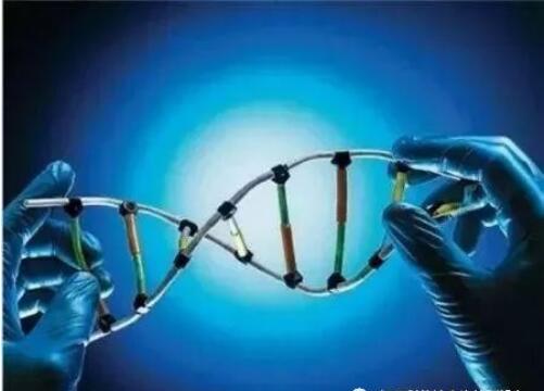 材料界新寵無機(jī)非金屬（2）