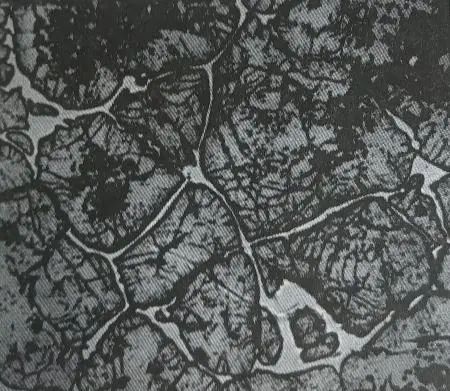 1665539687801645.jpg 1.jpg