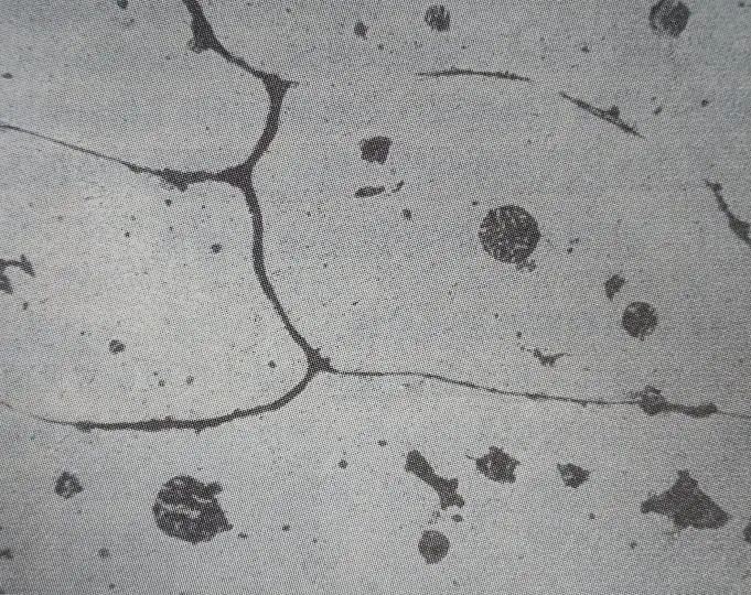 1665539781680994.jpg 3.jpg